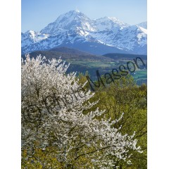 Pic du midi de Bigorre au printemps